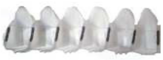 KIT 10 GODETS DROITS 3 TROUS